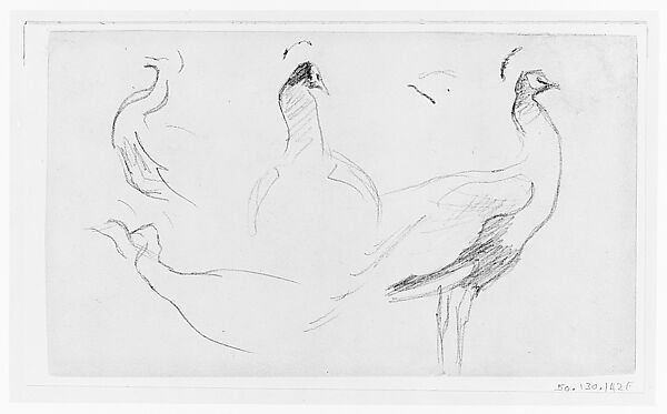Peacocks, John Singer Sargent (American, Florence 1856–1925 London), Graphite on off-white wove paper, American
