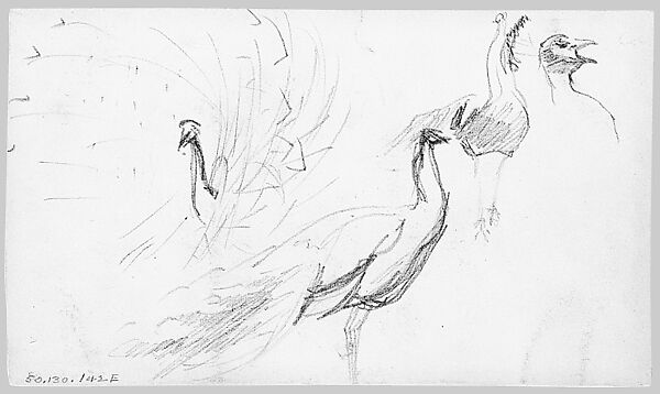 Swans, John Singer Sargent (American, Florence 1856–1925 London), Graphite on off-white wove paper, American