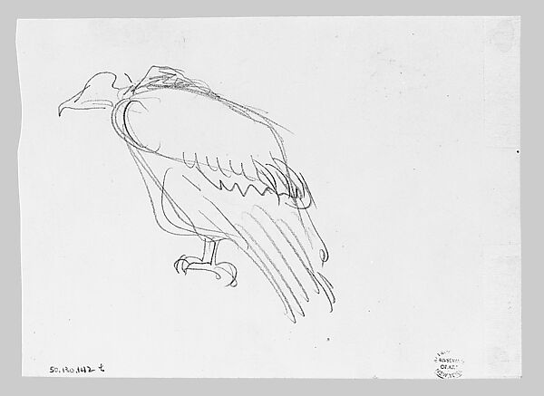 Swans, John Singer Sargent (American, Florence 1856–1925 London), Graphite on off-white wove paper, American