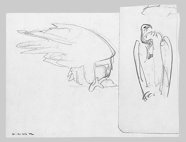 Swans, John Singer Sargent (American, Florence 1856–1925 London), Graphite on off-white wove paper, American