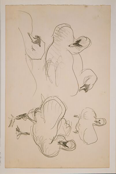 Swans, John Singer Sargent (American, Florence 1856–1925 London), Graphite on off-white wove paper, American 