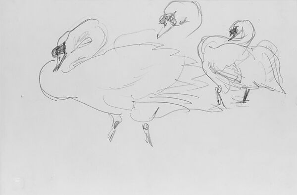 Swans, John Singer Sargent (American, Florence 1856–1925 London), Graphite on off-white wove paper, American