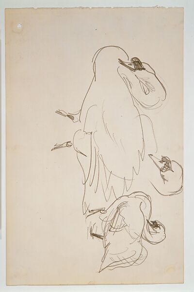 Swans, John Singer Sargent (American, Florence 1856–1925 London), Graphite on off-white wove paper, American 