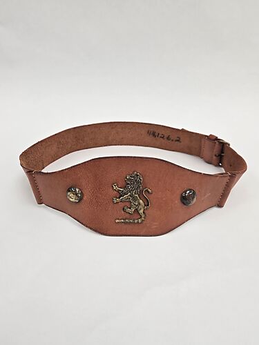 Belt