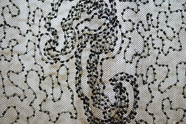 Stole, cotton, glass, probably American