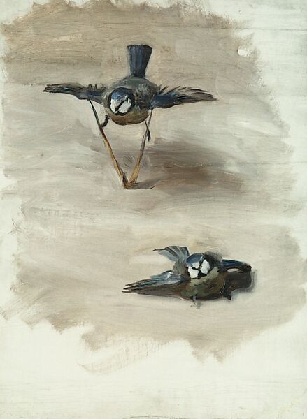 Studies of a Dead Bird, John Singer Sargent (American, Florence 1856–1925 London), Oil on canvas, American 