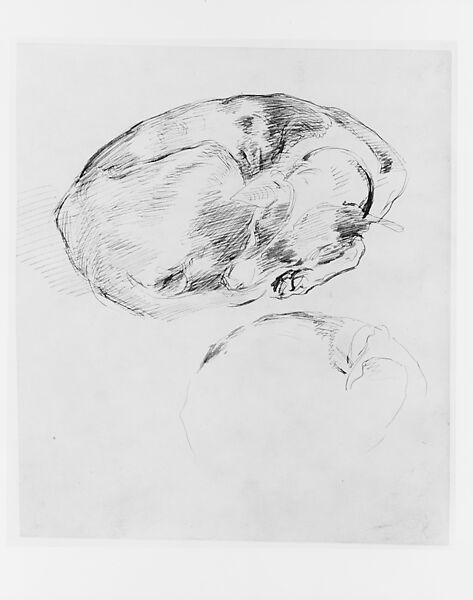 Dog, John Singer Sargent (American, Florence 1856–1925 London), Pen and ink on off-white wove paper, American