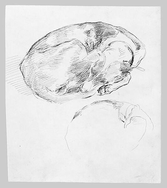 Dog, John Singer Sargent (American, Florence 1856–1925 London), Pen and ink on off-white wove paper, American
