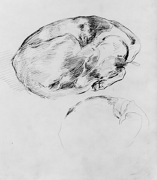 Dog, John Singer Sargent (American, Florence 1856–1925 London), Pen and ink on off-white wove paper, American 