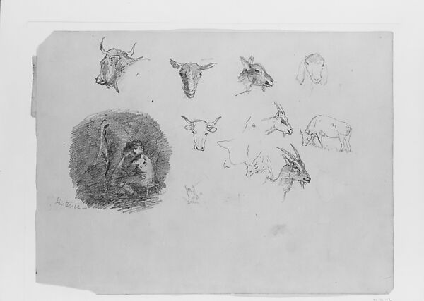 Cows and Goats; Boy Milking, John Singer Sargent (American, Florence 1856–1925 London), Graphite on buff wove paper, American