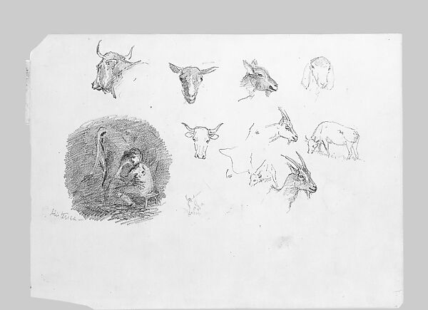 Cows and Goats; Boy Milking, John Singer Sargent (American, Florence 1856–1925 London), Graphite on buff wove paper, American