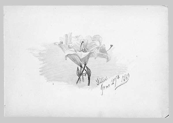 Lilies (from Switzerland 1869 Sketchbook), John Singer Sargent (American, Florence 1856–1925 London), Watercolor and graphite on off-white wove paper, American