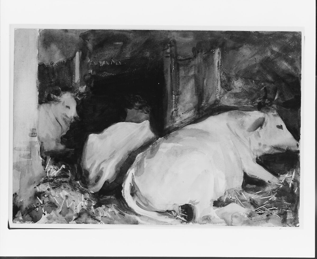 Three Oxen, John Singer Sargent (American, Florence 1856–1925 London), Watercolor, graphite, and wax crayon on off-white wove paper, American