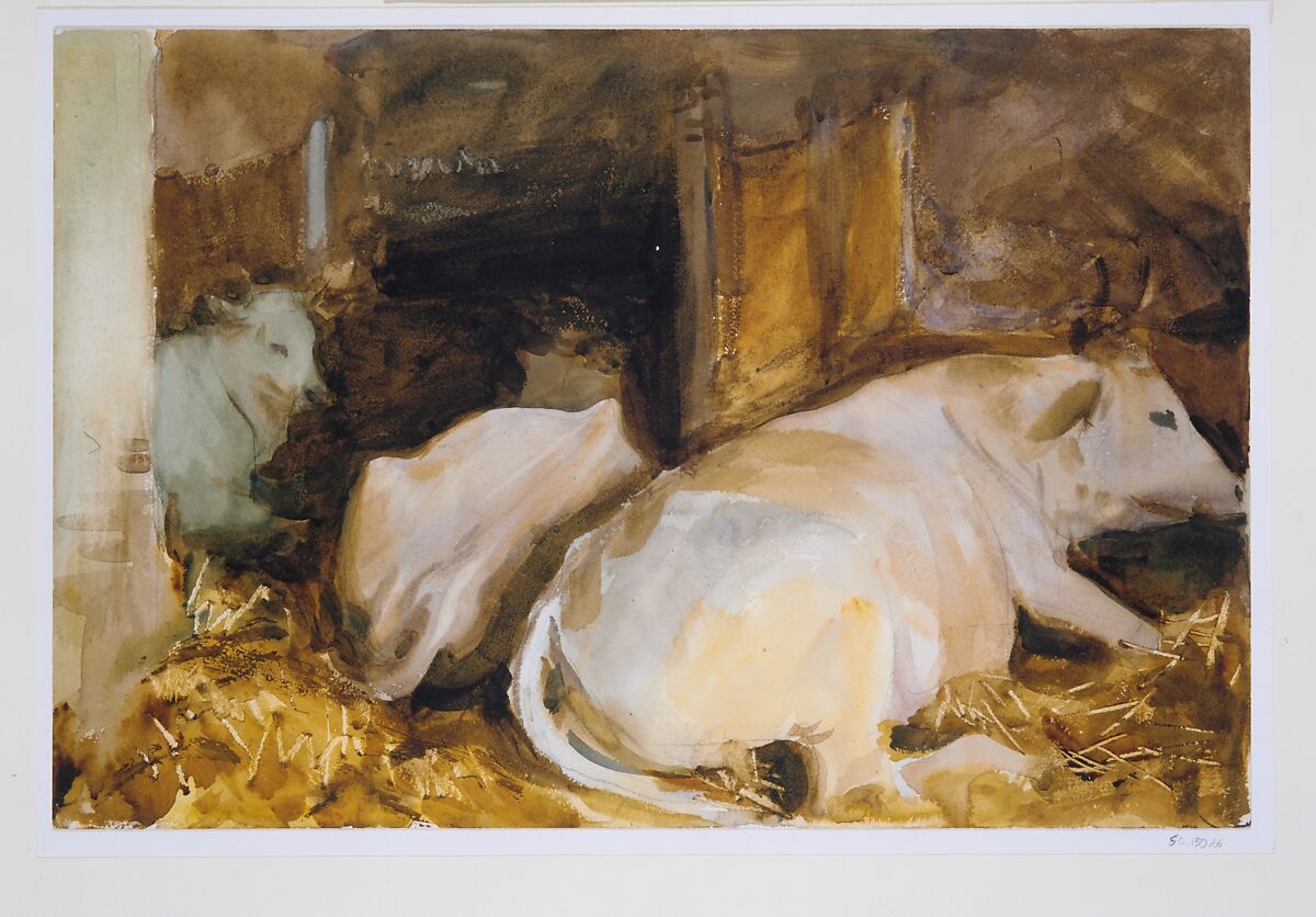 Three Oxen, John Singer Sargent (American, Florence 1856–1925 London), Watercolor, graphite, and wax crayon on off-white wove paper, American