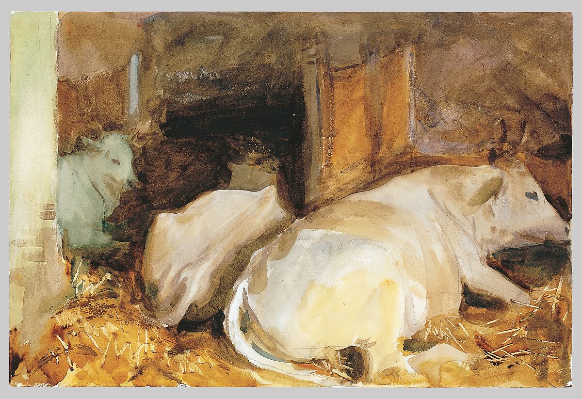 Three Oxen, John Singer Sargent (American, Florence 1856–1925 London), Watercolor, graphite, and wax crayon on off-white wove paper, American