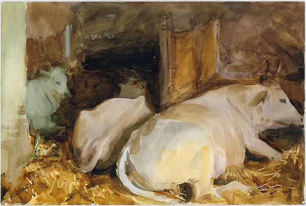 Three Oxen, John Singer Sargent (American, Florence 1856–1925 London), Watercolor, graphite, and wax crayon on off-white wove paper, American 