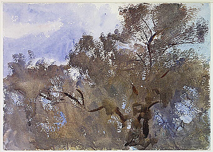 Treetops against Sky, John Singer Sargent (American, Florence 1856–1925 London), Watercolor and gouache on white wove paper, American
