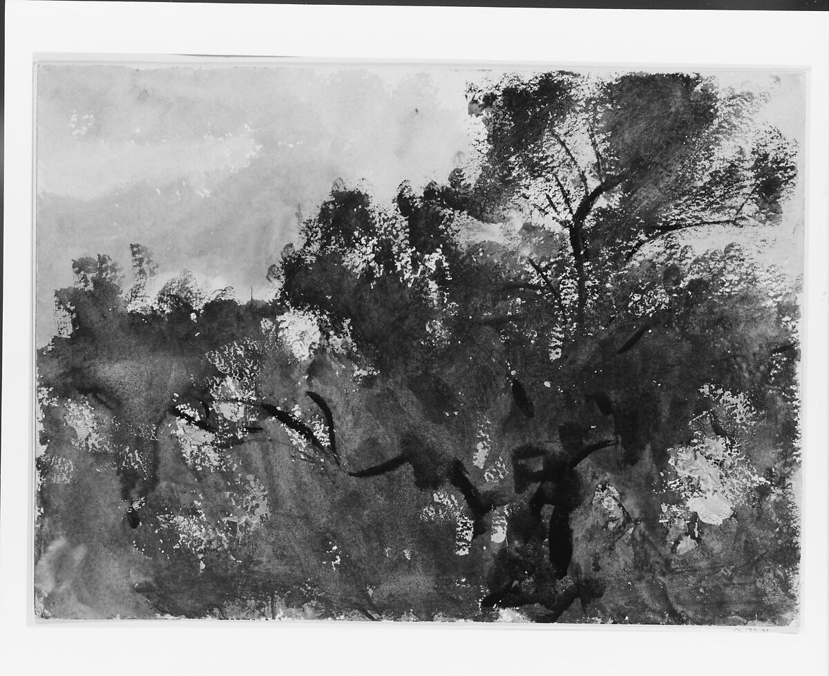 Treetops against Sky, John Singer Sargent (American, Florence 1856–1925 London), Watercolor and gouache on white wove paper, American