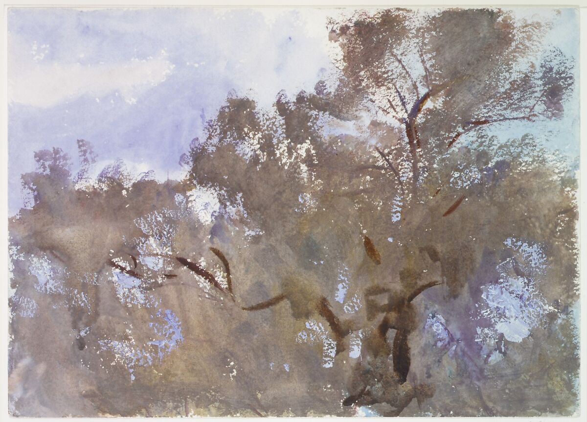 Treetops against Sky, John Singer Sargent (American, Florence 1856–1925 London), Watercolor and gouache on white wove paper, American