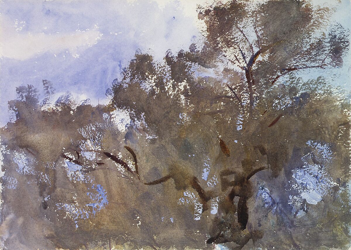 Treetops against Sky, John Singer Sargent (American, Florence 1856–1925 London), Watercolor and gouache on white wove paper, American