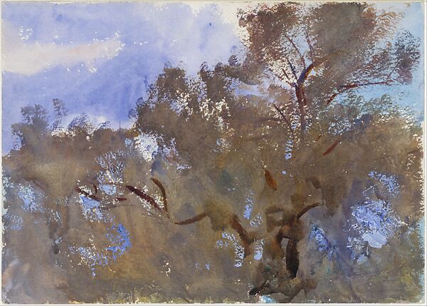 Treetops against Sky, John Singer Sargent (American, Florence 1856–1925 London), Watercolor and gouache on white wove paper, American 