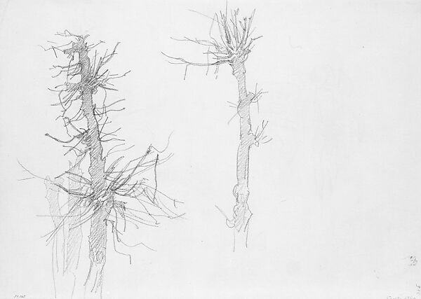 Wasted Trees, John Singer Sargent (American, Florence 1856–1925 London), Graphite on off-white wove paper, American 