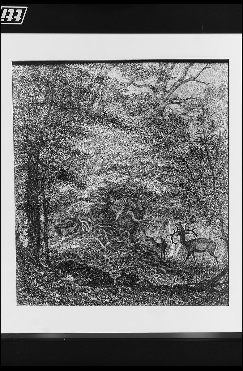 A Refuge from the Storm (Shadow from the Heat), David Pell Secor (ca. 1824–1909), Pen and India ink on Bristol board, American