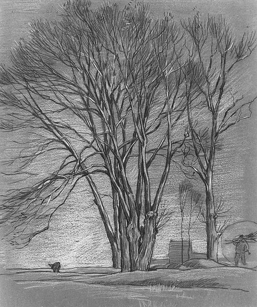 Trees, Alexander Shilling (American, Chicago, Illinois 1859–1937 New York), Black and colored crayon, and graphite on brown wove paper  laminated to pulboard., American 