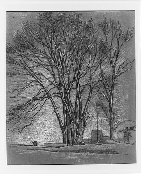Trees, Alexander Shilling (American, Chicago, Illinois 1859–1937 New York), Black and colored crayon, and graphite on brown wove paper  laminated to pulboard., American