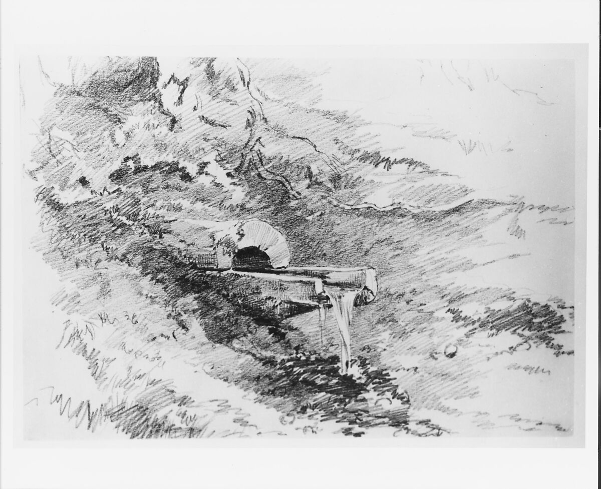 Nature Study, Walter Shirlaw (American, Paisley, Scotland 1838–1909 Madrid), Graphite on off-white wove paper, American