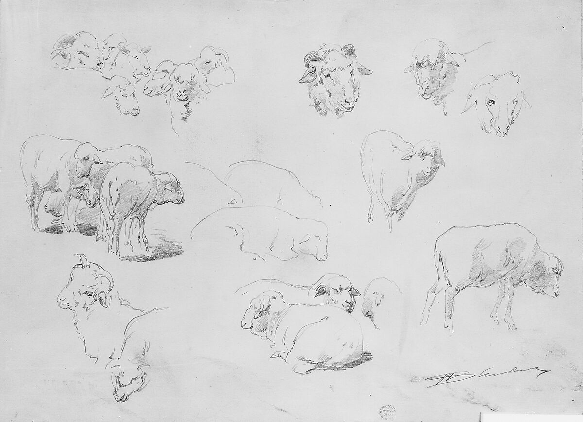 Studies of Sheep, Walter Shirlaw (American, Paisley, Scotland 1838–1909 Madrid), Graphite on off-white wove paper, American 