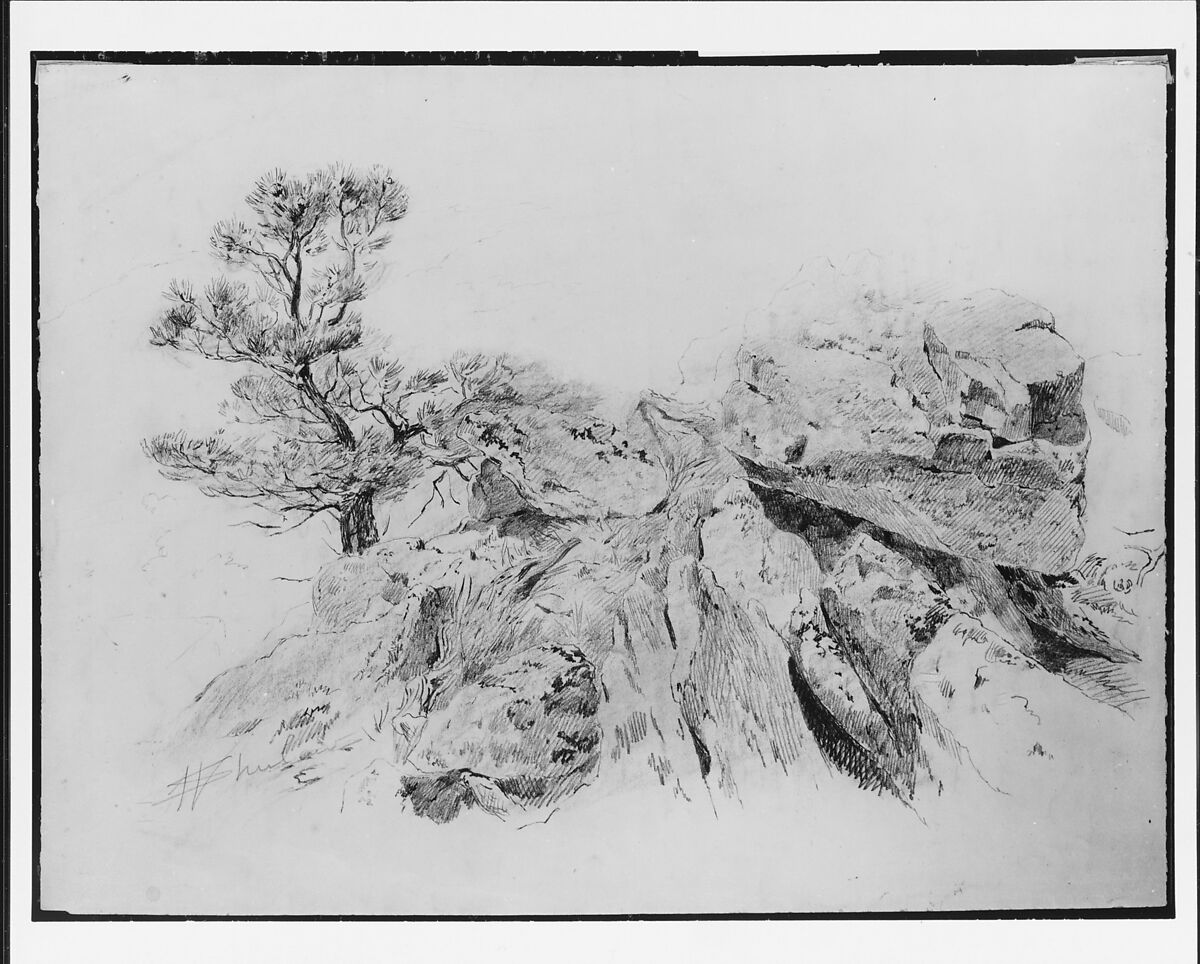 Tree and Rocks, Walter Shirlaw (American, Paisley, Scotland 1838–1909 Madrid), Graphite and wax crayon on off-white wove paper, American 