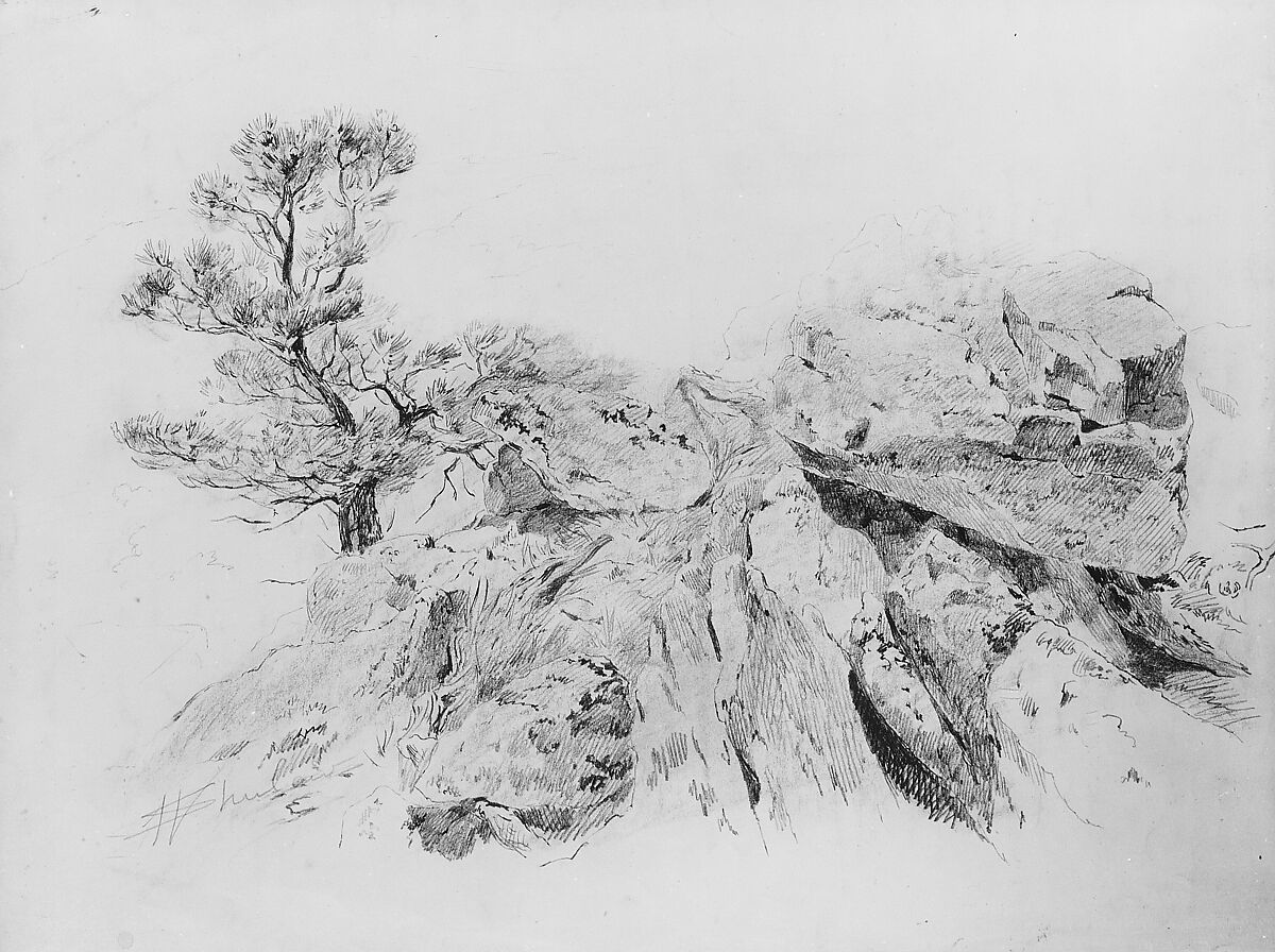 Tree and Rocks, Walter Shirlaw (American, Paisley, Scotland 1838–1909 Madrid), Graphite and wax crayon on off-white wove paper, American