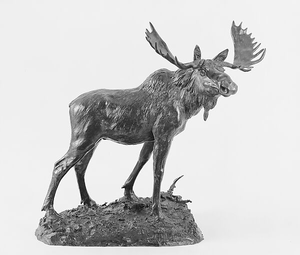 Moose, Henry Merwin Shrady (American, New York 1871–1922 New York), Bronze, American