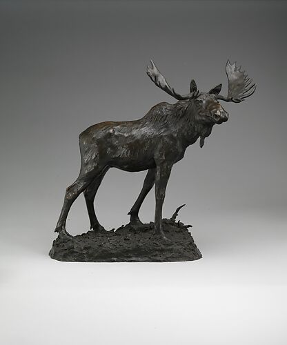 Moose