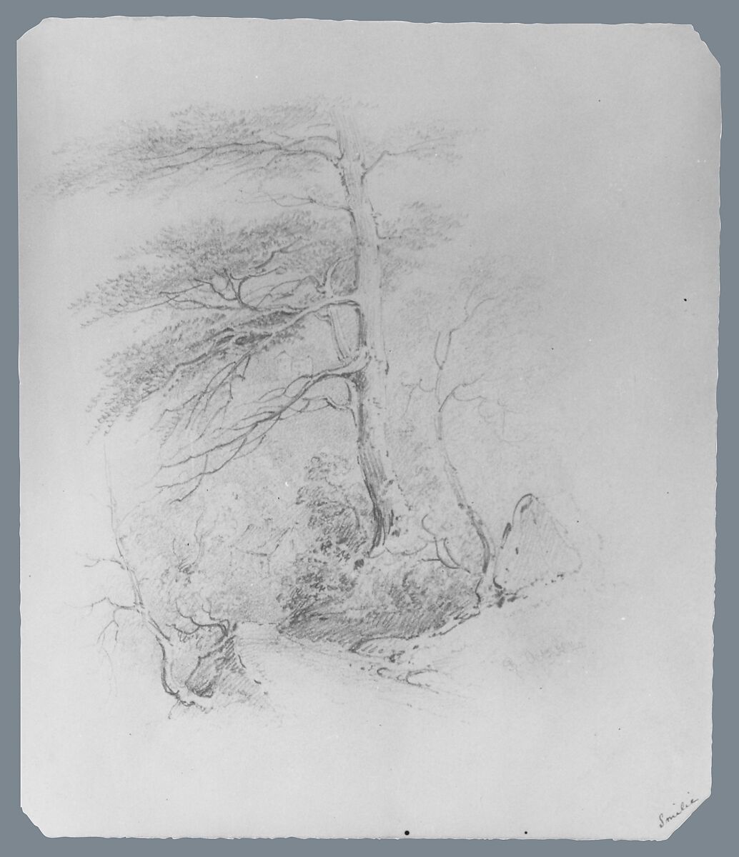 Landscape (from McGuire Scrapbook), James Smillie (American, Edinburgh 1807–1885 Poughkeepsie, New York), Graphite on off-white wove paper, American