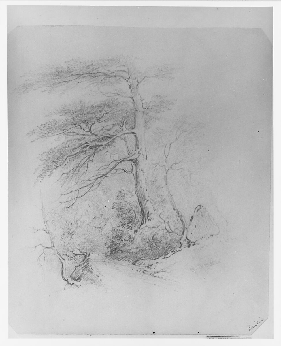 Landscape (from McGuire Scrapbook), James Smillie (American, Edinburgh 1807–1885 Poughkeepsie, New York), Graphite on off-white wove paper, American 