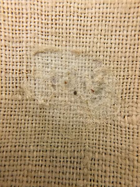 Entari, Silk, cotton, metal wrapped threads; woven