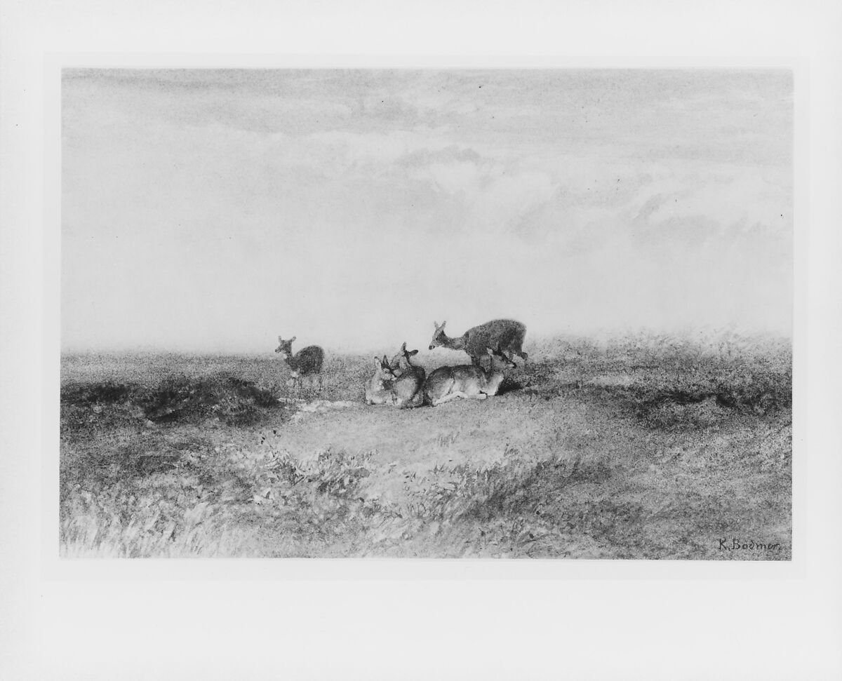 Deer in a Landscape, Karl Bodmer (Swiss, Riesbach 1809–1893 Barbizon), Watercolor and red chalk on off-white wove paper, American