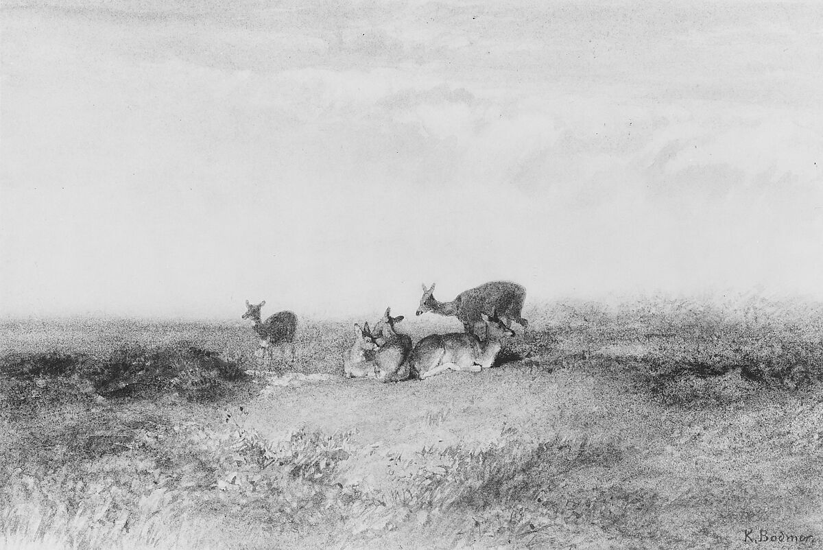 Deer in a Landscape, Karl Bodmer (Swiss, Riesbach 1809–1893 Barbizon), Watercolor and red chalk on off-white wove paper, American 