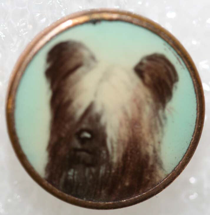 Button, [no medium available], British