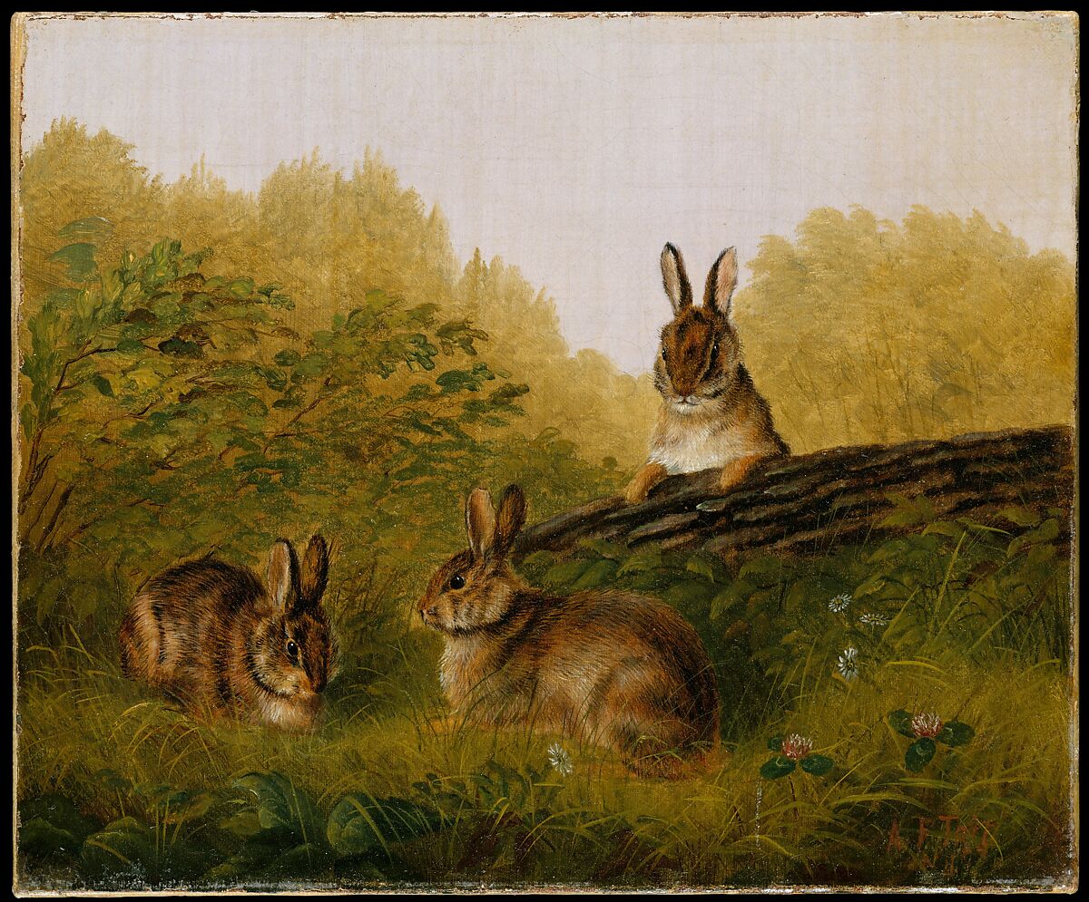 Rabbits on a Log, Arthur Fitzwilliam Tait (American (born England), Liverpool 1819–1905 Yonkers, New York), Oil on canvas, American 