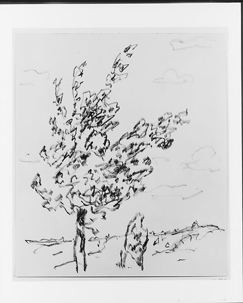 Tree, Allen Tucker (American, Brooklyn, New York 1866–1939 New York), Black chalk pinked on the top on buff paper, American