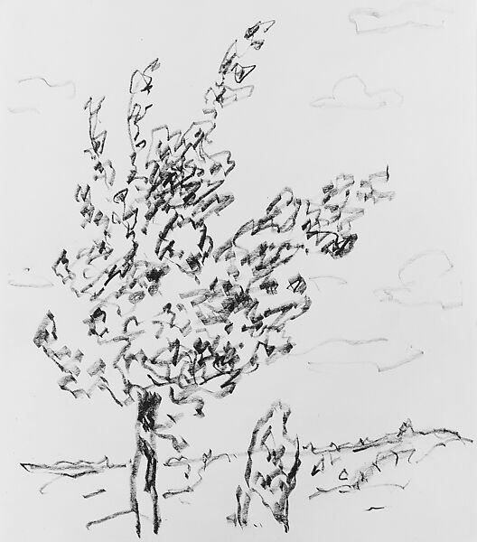 Tree, Allen Tucker (American, Brooklyn, New York 1866–1939 New York), Black chalk pinked on the top on buff paper, American 