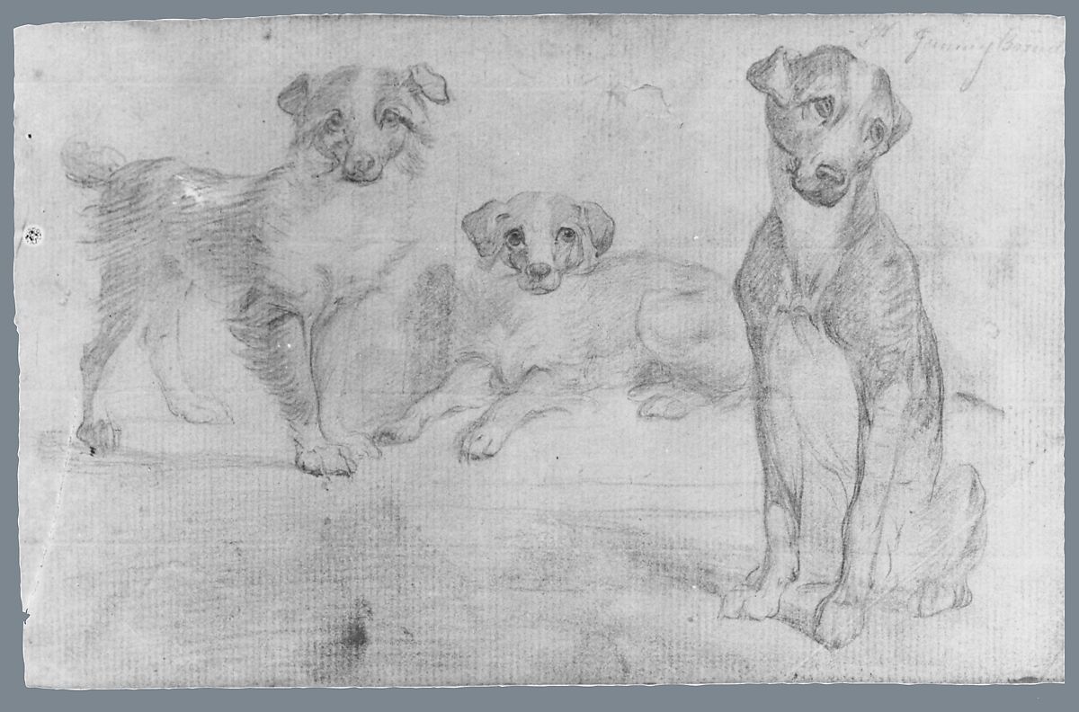 Dogs (from McGuire Scrapbook), Graphite on off-white laid paper, American 