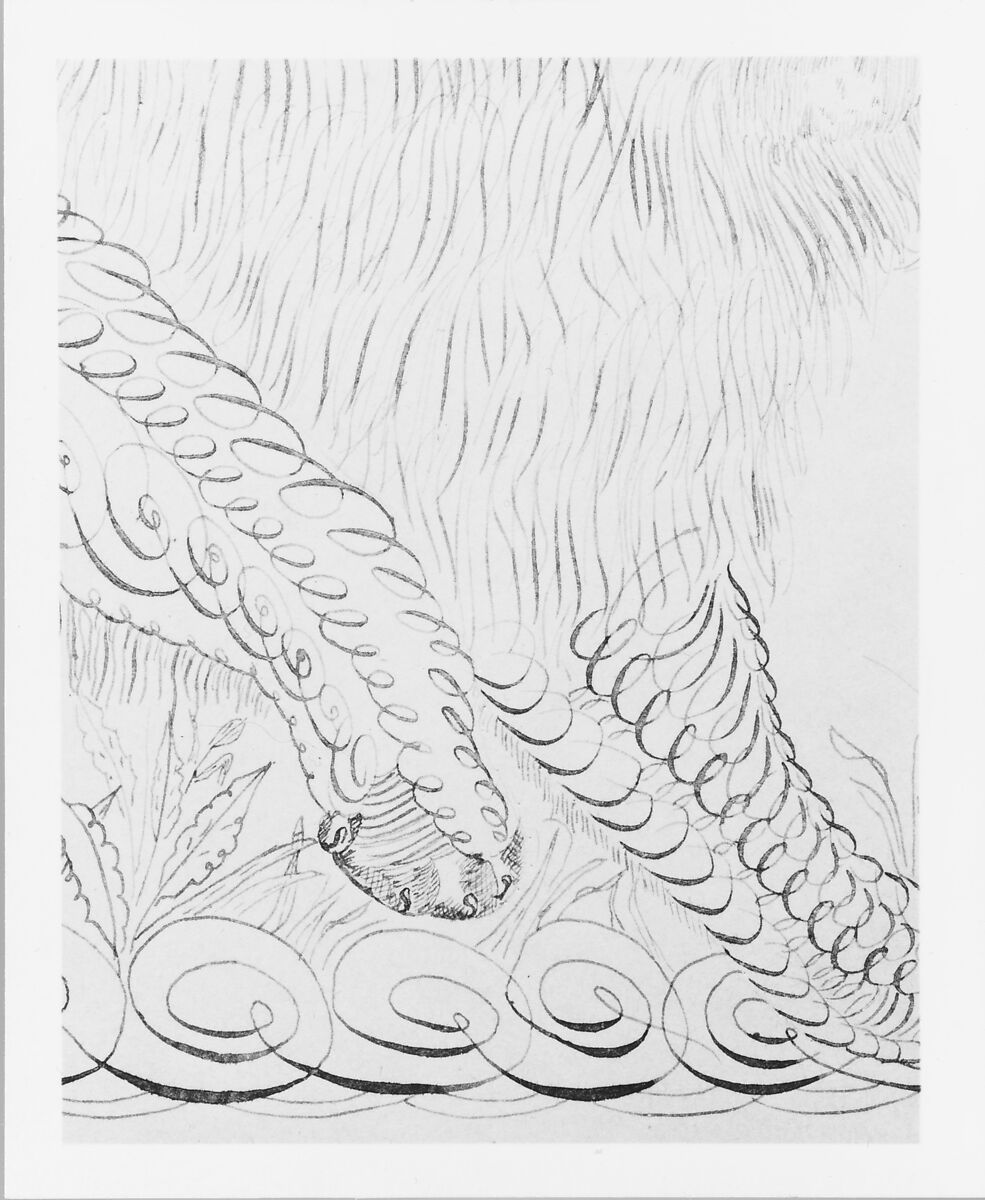 Lion, Pen and iron-gall ink and graphite on off-white wove paper, American