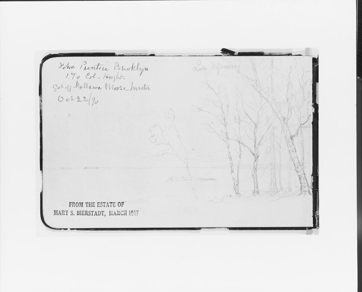 Sketchbook of Northwest American and Canadian Scenery, Albert Bierstadt (American, Solingen 1830–1902 New York), Drawings in graphite on off-white wove paper, bound in a leather cover, American