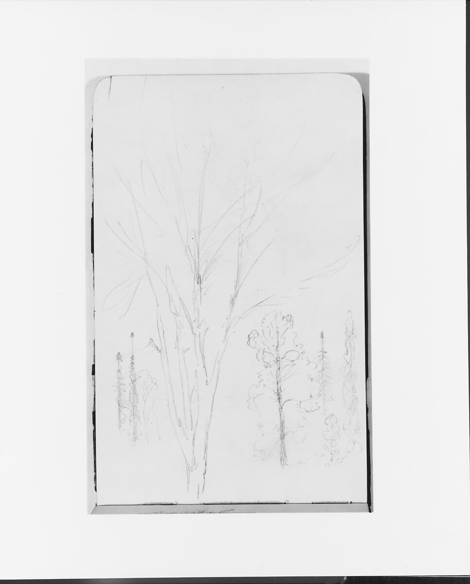 Sketchbook of Northwest American and Canadian Scenery, Albert Bierstadt (American, Solingen 1830–1902 New York), Drawings in graphite on off-white wove paper, bound in a leather cover, American