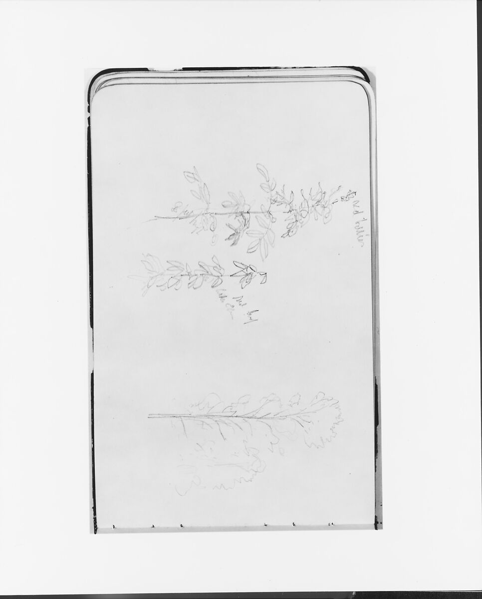 Sketchbook of Northwest American and Canadian Scenery, Albert Bierstadt (American, Solingen 1830–1902 New York), Drawings in graphite on off-white wove paper, bound in a leather cover, American