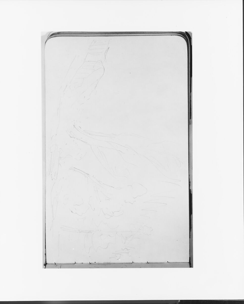 Sketchbook of Northwest American and Canadian Scenery, Albert Bierstadt (American, Solingen 1830–1902 New York), Drawings in graphite on off-white wove paper, bound in a leather cover, American